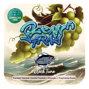 Ocean Spray