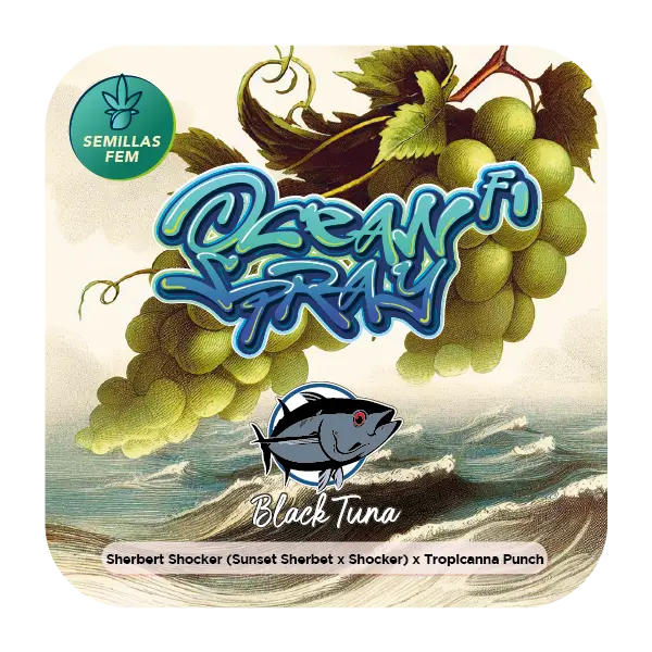 Ocean Spray
