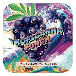 Tropicanna Punch
