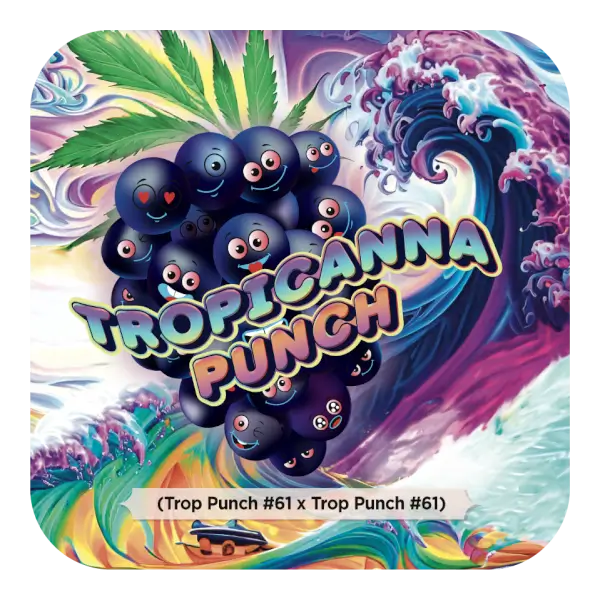 Tropicanna Punch