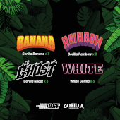 Gorilla Kingdom Family Mix