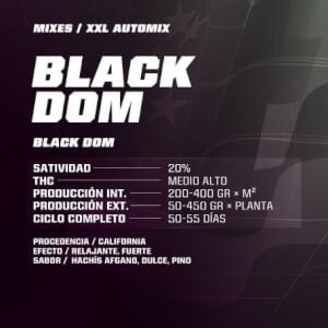 Dealer Deal XXL Automix