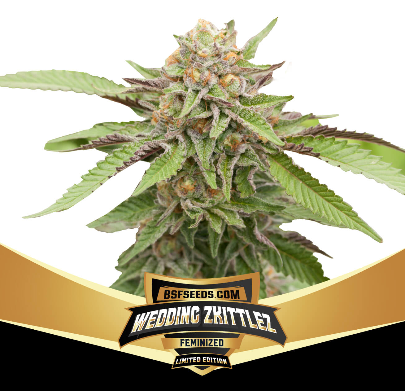 Wedding Zkittlez