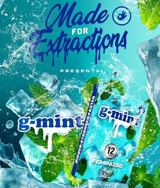 G-Mint
