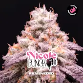 Nicole Punch