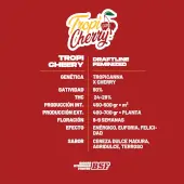 Tropicherry