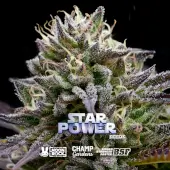 Star Power