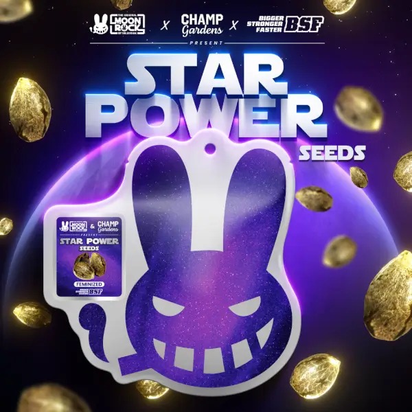 Star Power