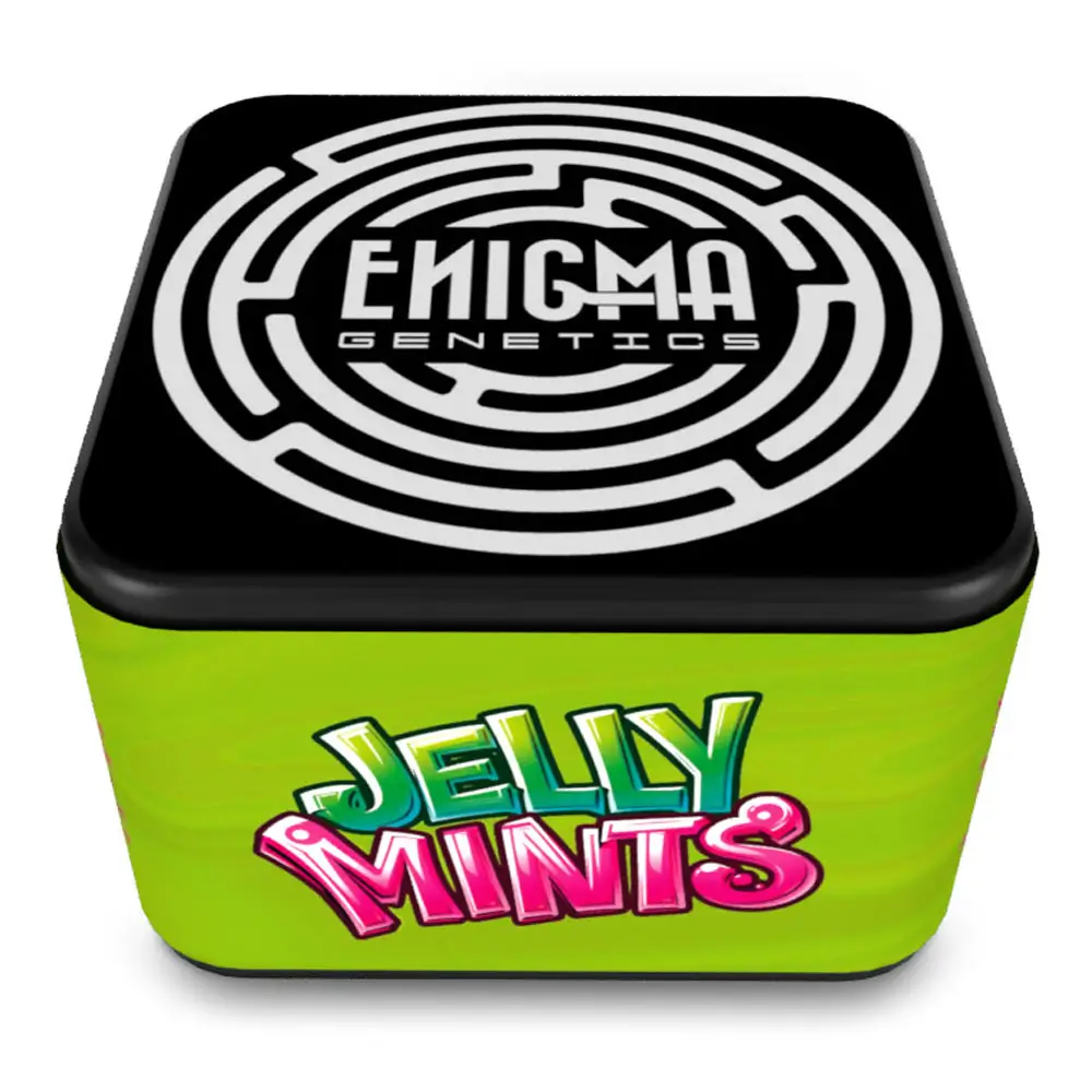 Jelly Mints