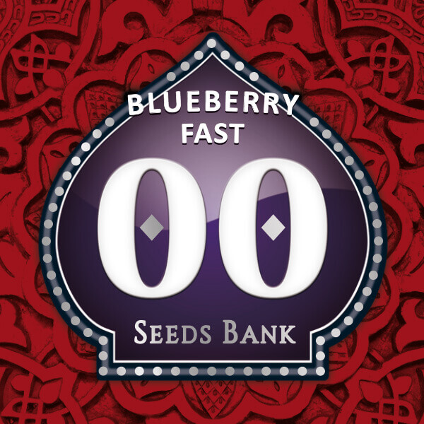 Blueberry