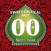 Sweet Critical Fast