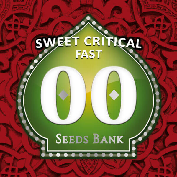 Sweet Critical