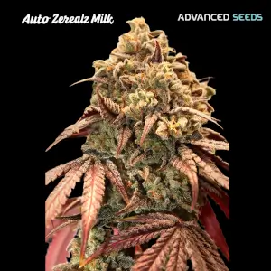Zerealz Milk Auto
