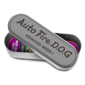 Fire Dog Auto