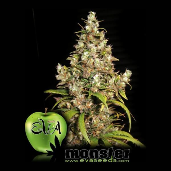 Monster