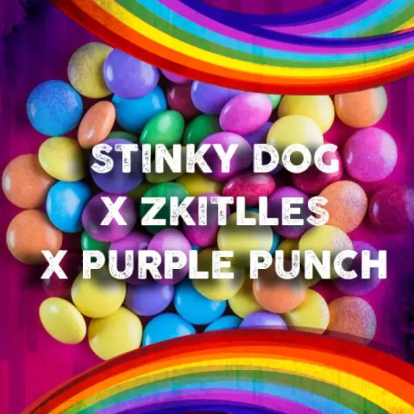 (Stinky Dog x Zkittles) x Purple Punch