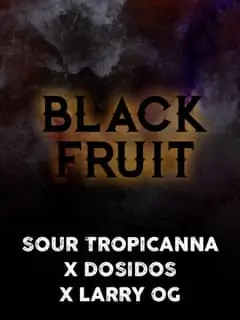 Black Fruit