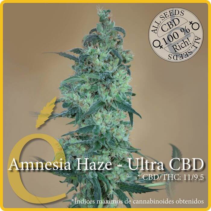 Amnesia Haze Ultra CBD