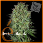 Bestial Skunk