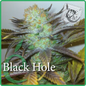 Black Hole