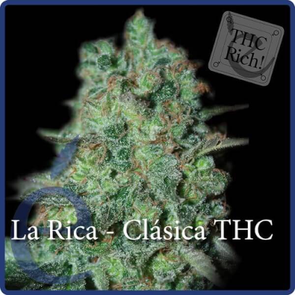 La Rica