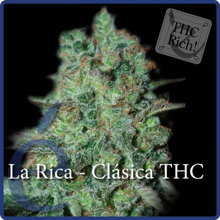 La Rica