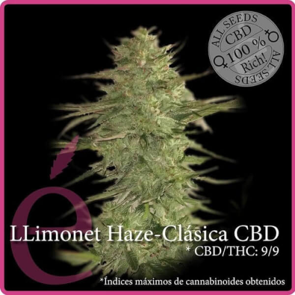 Llimonet Haze CBD