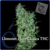 Llimonet Haze