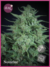 Novarine THCV