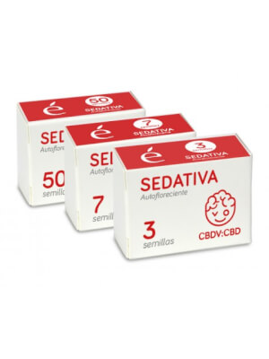 Sedativa CBDV Auto