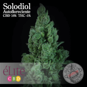 Solodiol Auto