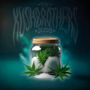 MassKush