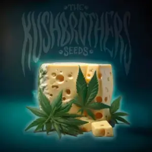 OG Cheese