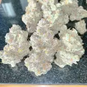 White Truffle
