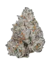 White Truffle