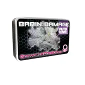 Braindamage Auto