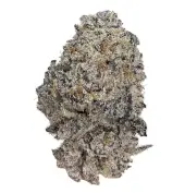 Original Oreoz