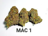 MAC 1 Auto