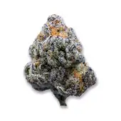 Platinum Mimosa Cookies Fast Version