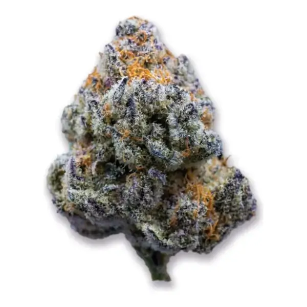 Platinum Mimosa Cookies Fast Version