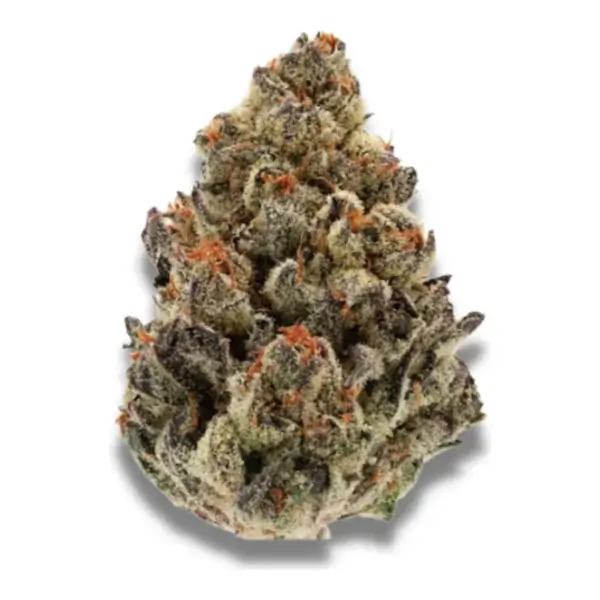 Bruce Banner III