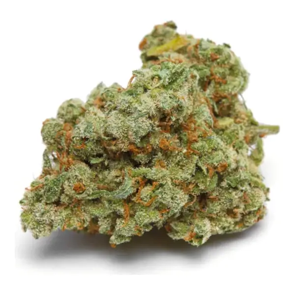 Banana Sherbert Double XL Auto