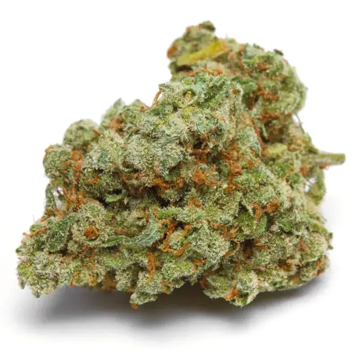 Banana Sherbert Double XL Auto
