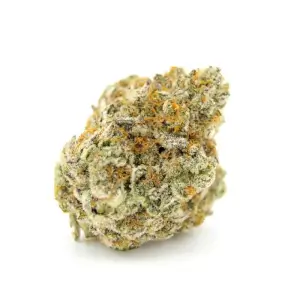 Forbidden Runtz Double XL Auto