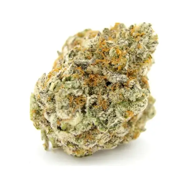 Forbidden Runtz Double XL Auto