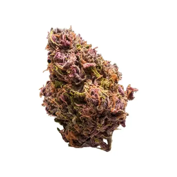 Red Jack Auto