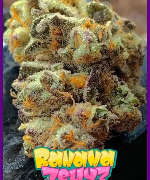 Banana Jelly'Z