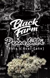 Pannacotta