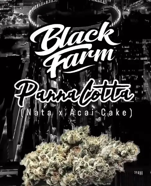 Pannacotta