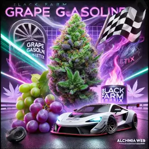 Grape Gasoline